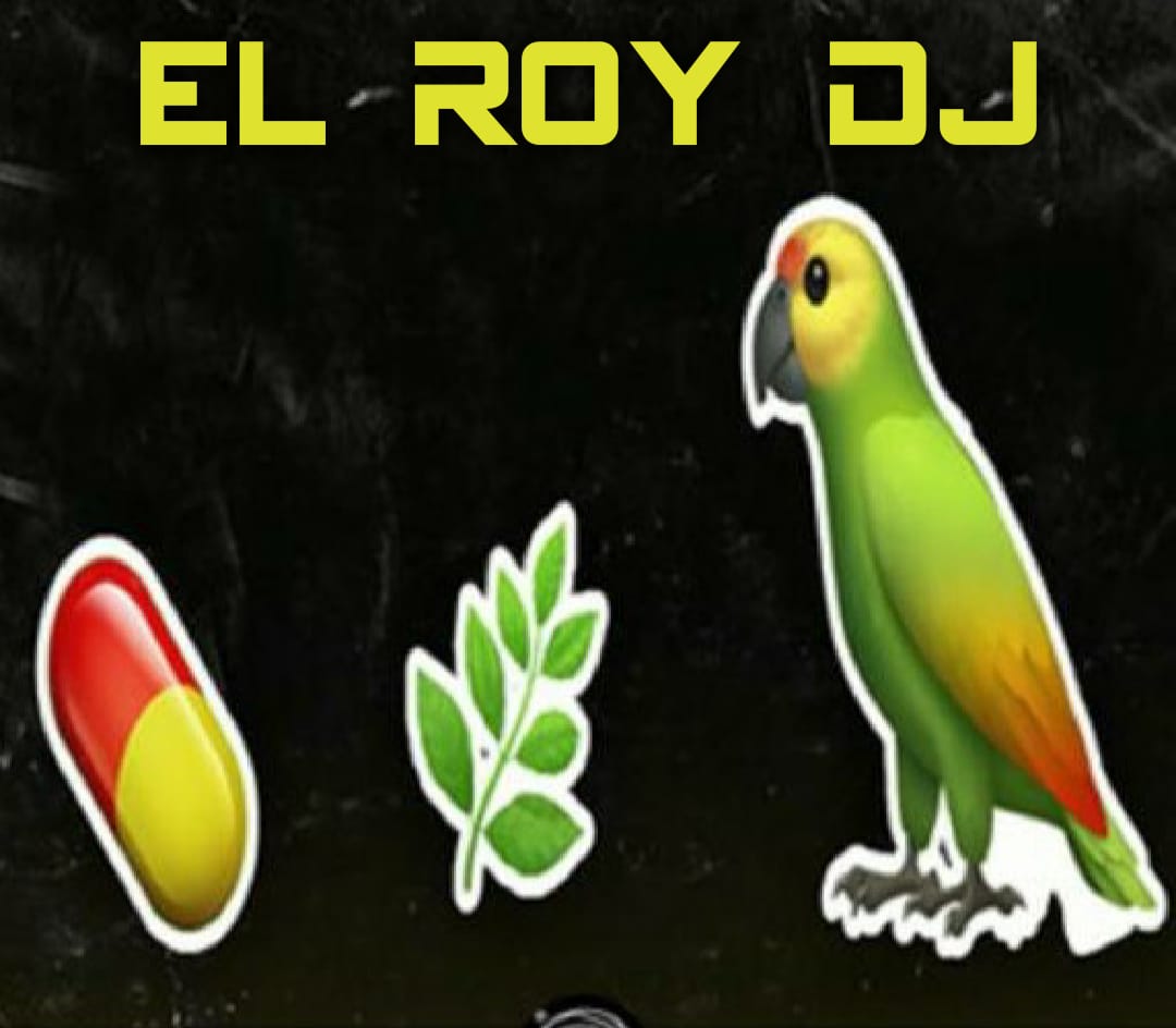 PASTILLA_HIERBA Y PERICO MIXTAPE ( EL ROY DJ )